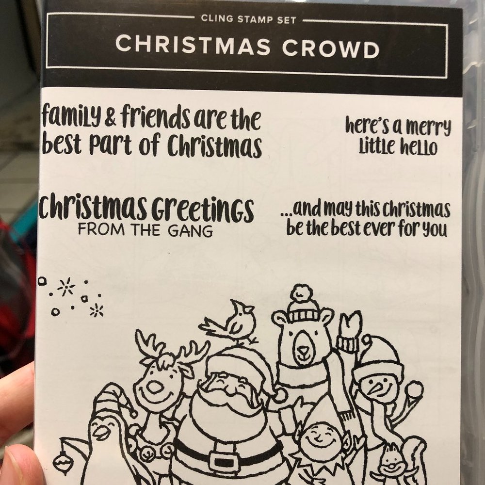 3/$15 🎨 Stampin Up NWOT Christmas Crowd Stamp Set
